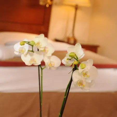 Hotel Brunfels Hotel, In The Unbound Collection By Hyatt